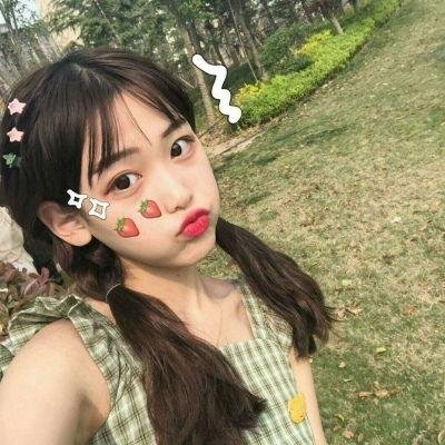 老虎连